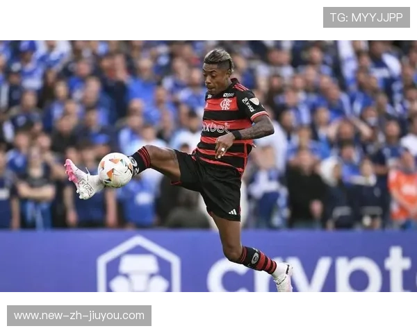 弗拉门戈反击选择理性